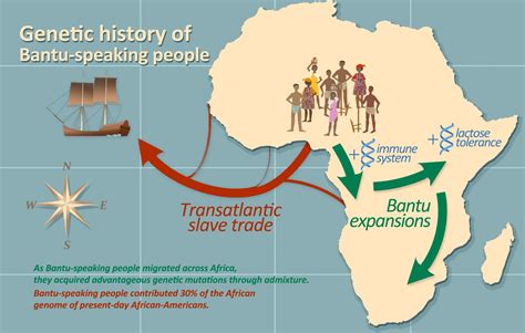 Den stora flyttningen: En studie av bantu-folkets migration och dess inverkan på den tidiga södra afrikanska kulturen